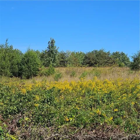 $30,000 | 0 Edwards Farm Road, King, NC 27021