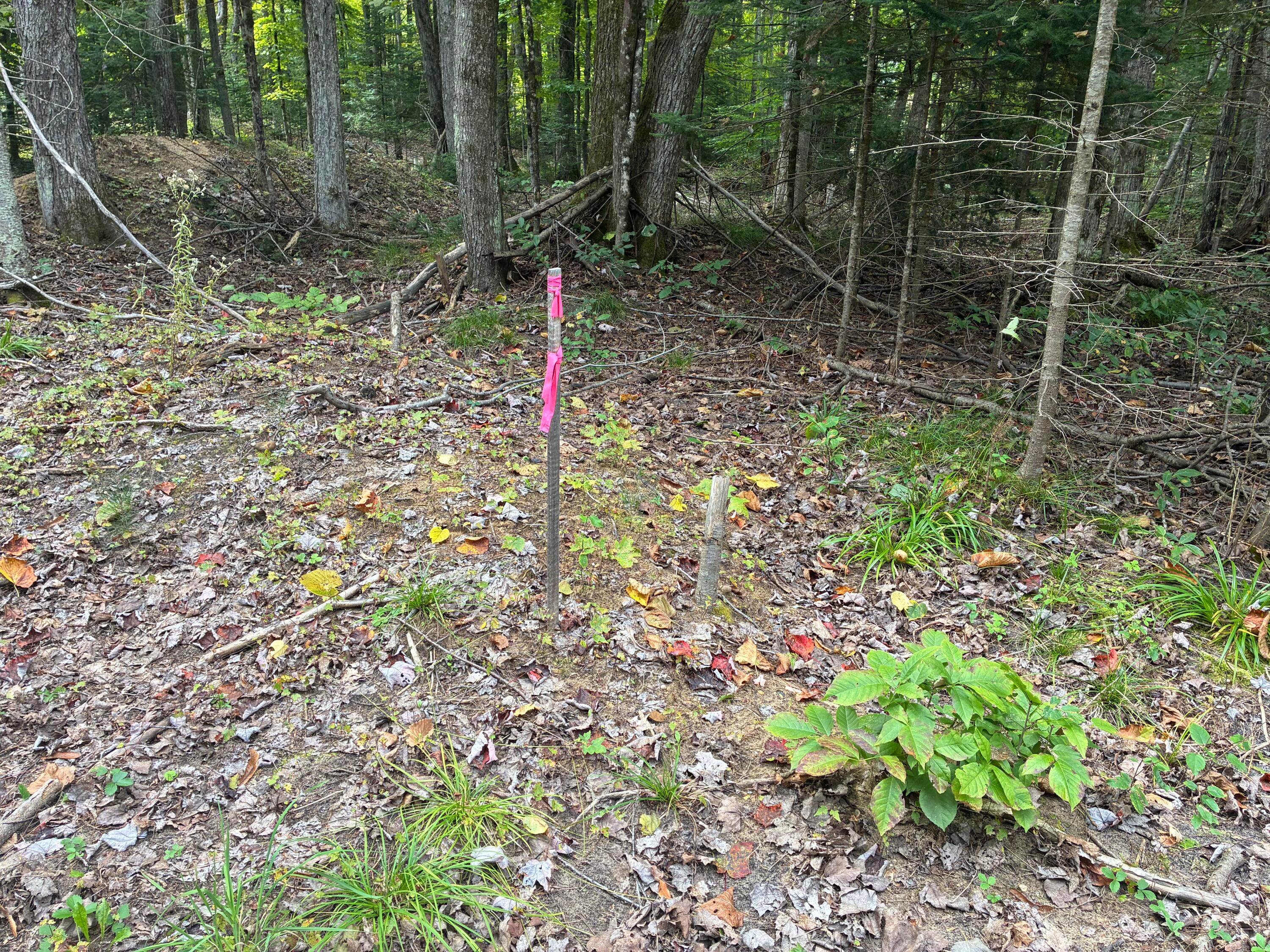 11449 Bilder Road Wolverine, MI 49799 - Photo 58 of 68 Gallery Image 58