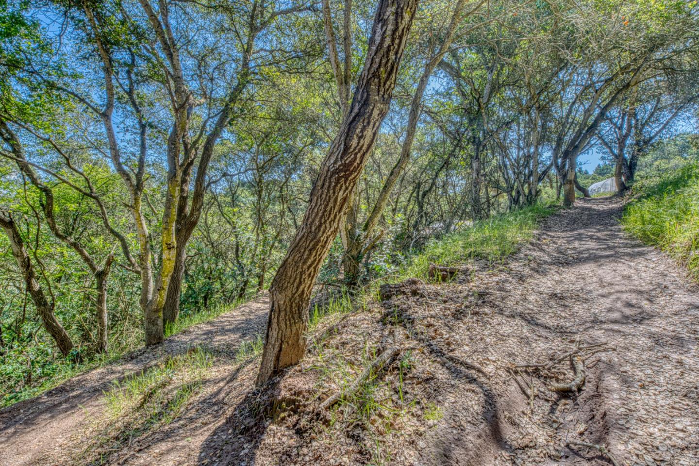 415 Carpenteria Road Aromas, CA 95004 - Photo 29 of 34