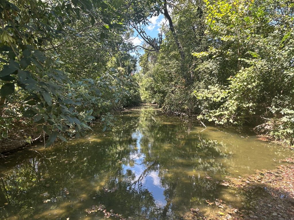 1660 South FM 1660 Taylor, TX 76574 - Photo 23 of 25 Creek