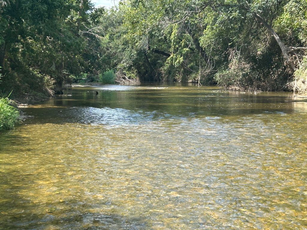 1660 South FM 1660 Taylor, TX 76574 - Photo 24 of 25 Creek