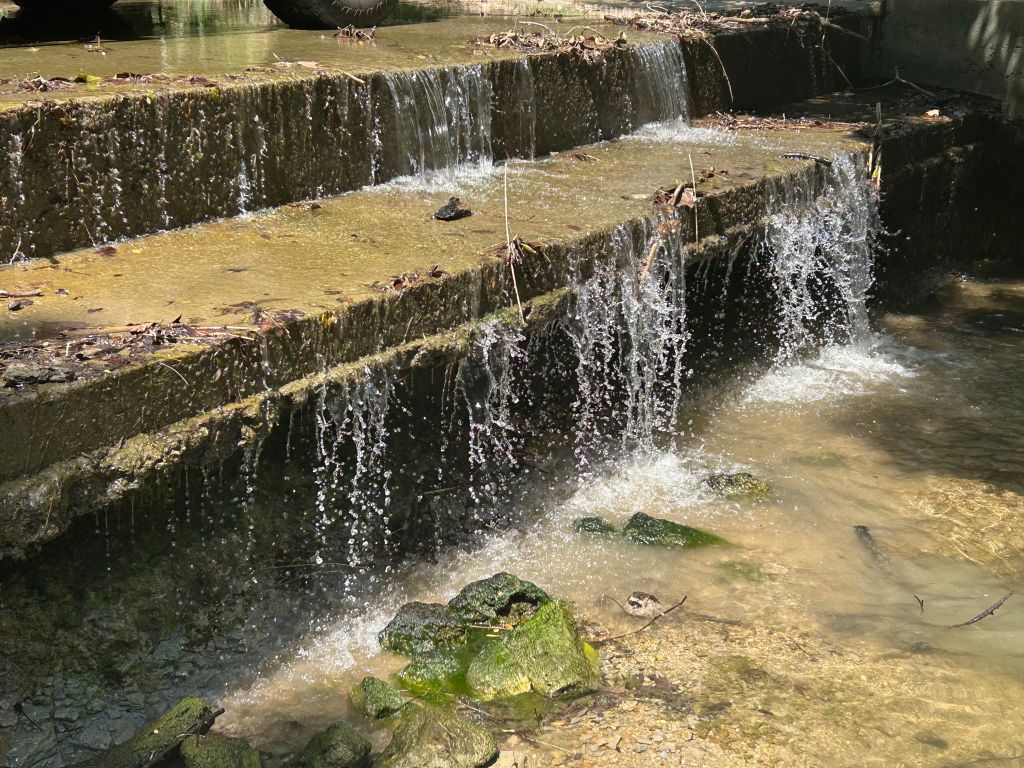 1660 South FM 1660 Taylor, TX 76574 - Photo 7 of 25 a view of a backyard of the house