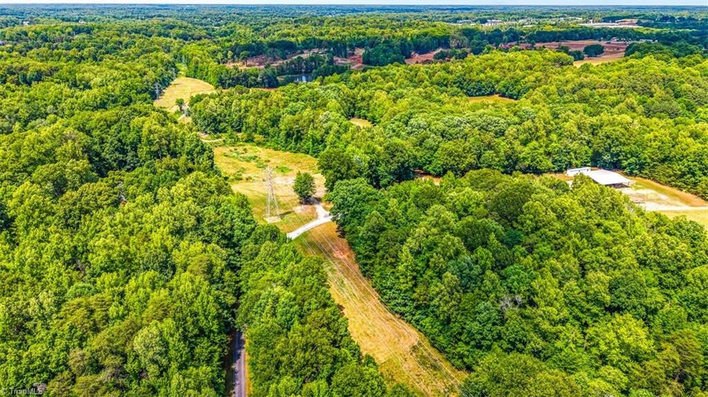 230 Marshall Smith Road Colfax, NC 27235 - Photo 2 of 3