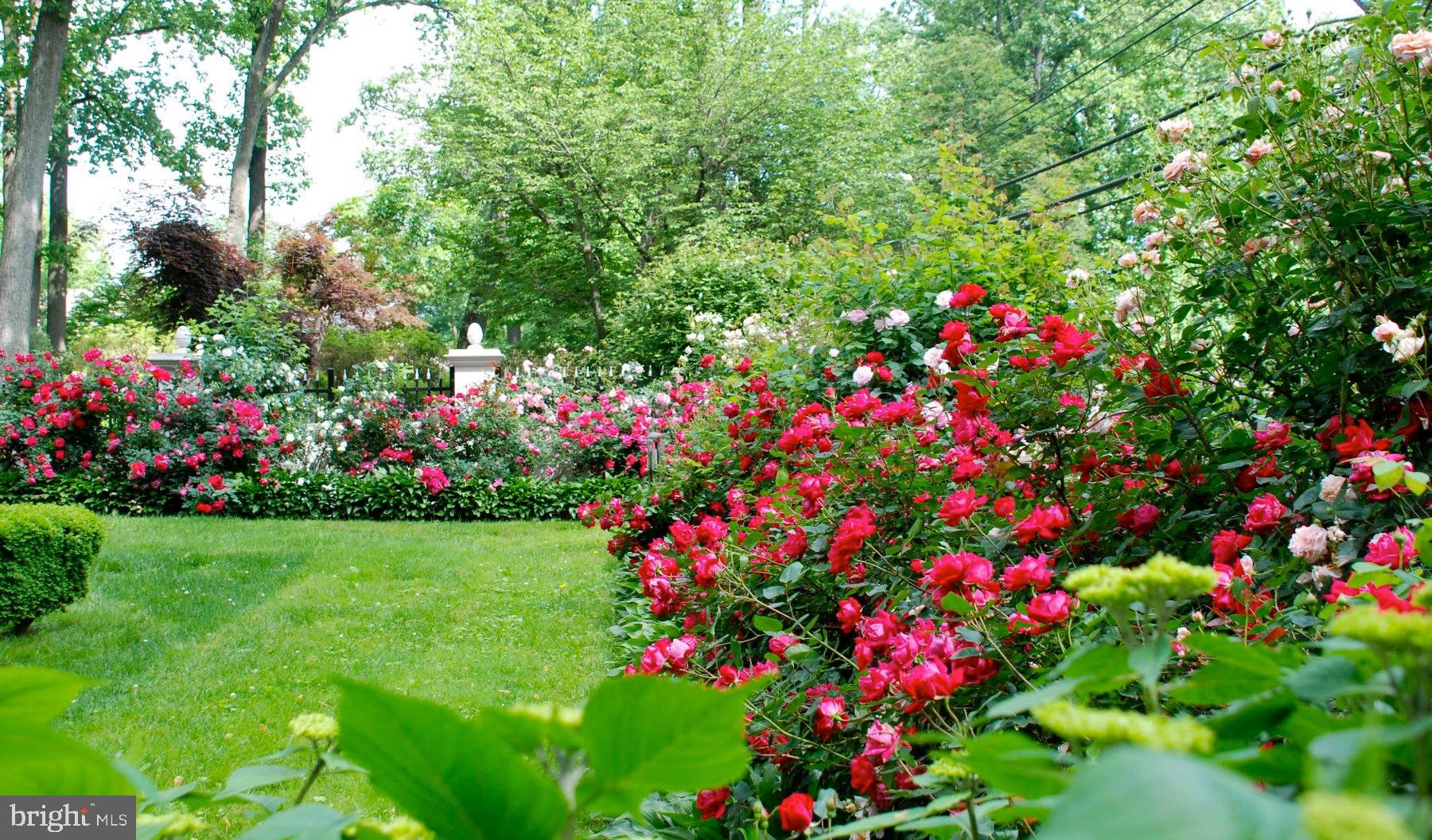 1200 Ridgewood Road Bryn Mawr, PA 19010 - Photo 60 of 67