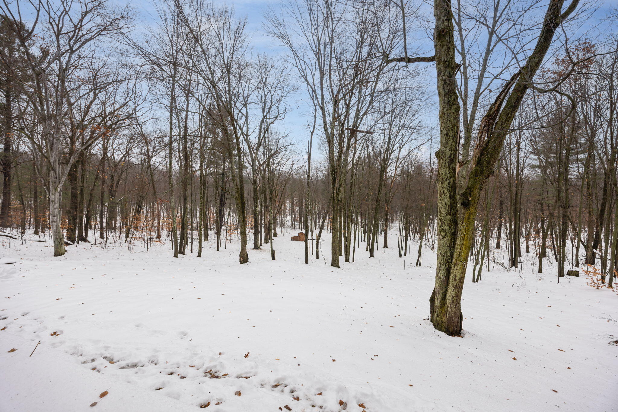 23020 13 Mile Road Big Rapids, MI 49307 - Photo 3 of 34 3-web-or-mls-3Y2A1957-Edit