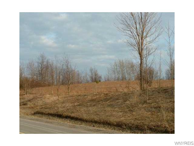 V/l Genesee Road Lawtons, NY 14091 - Photo 1 of 1 Land