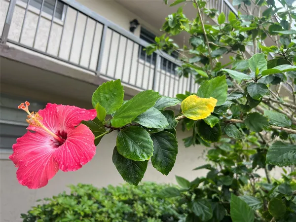 $2,550 | 7450 Northwest 17th Street, Unit 110, Plantation, FL 33313