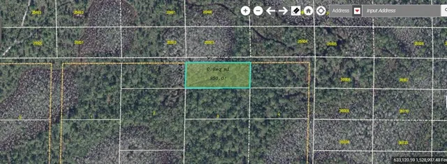 $49,000 | East Colonial Drive, Christmas, FL 32709