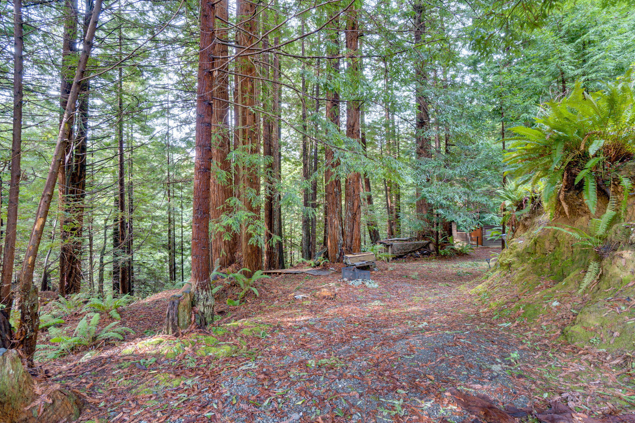 3360 Pigeon Point Road Eureka, CA 95503 - Photo 47 of 68