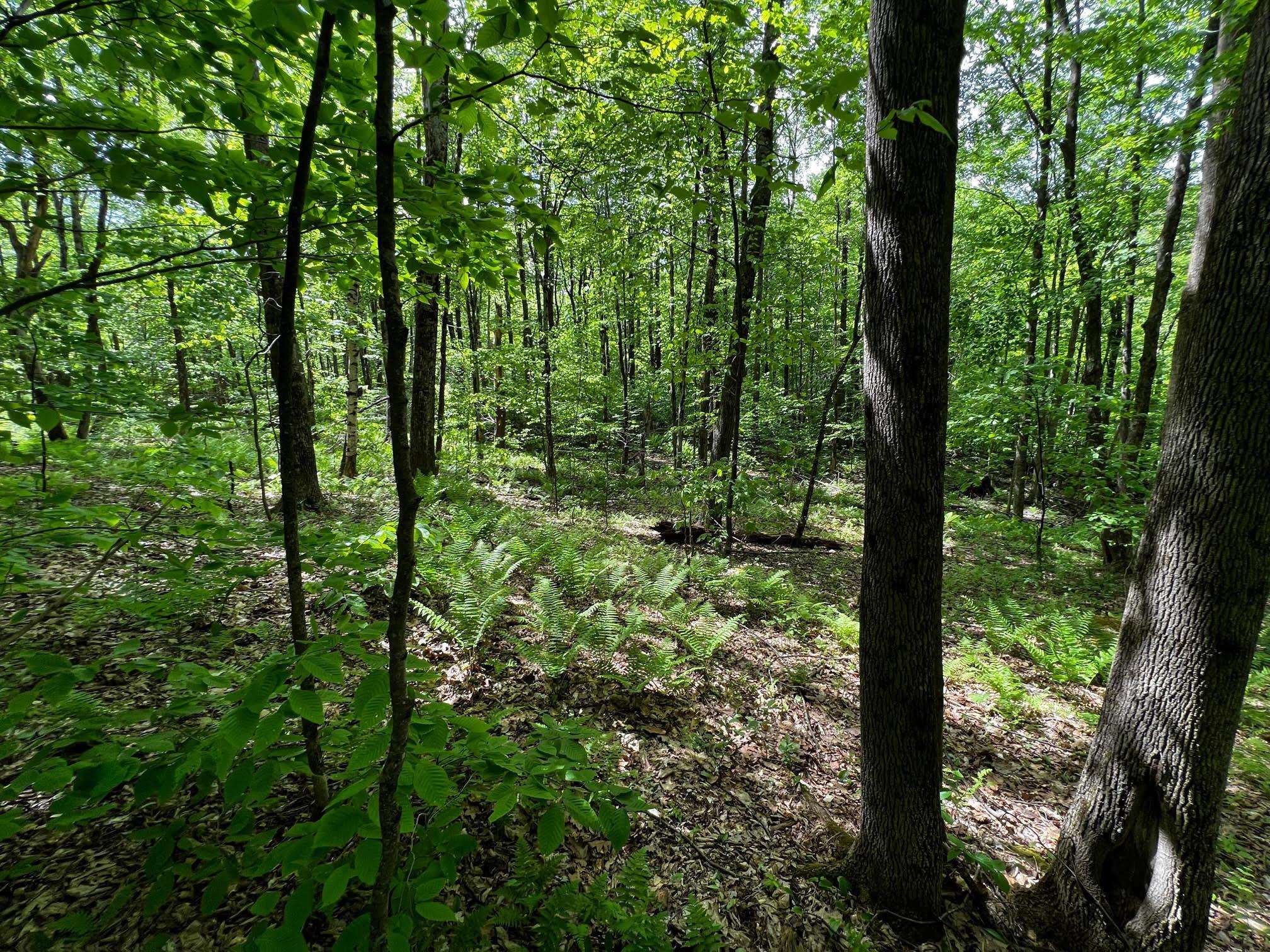 150 Mc Garron Road Middletown Springs, VT 05757 - Photo 4 of 8