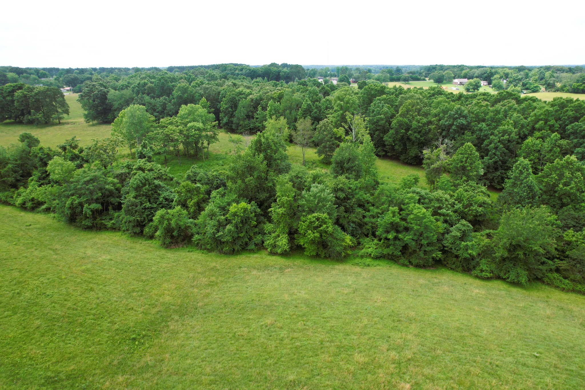 0 Crowder Road Lawrenceburg, TN 38464 - Photo 41 of 58