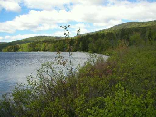 Lot 50 Edelheid Road Sandy River Plt, ME 04970 - Photo 13 of 16 Beaver Mountain Lake