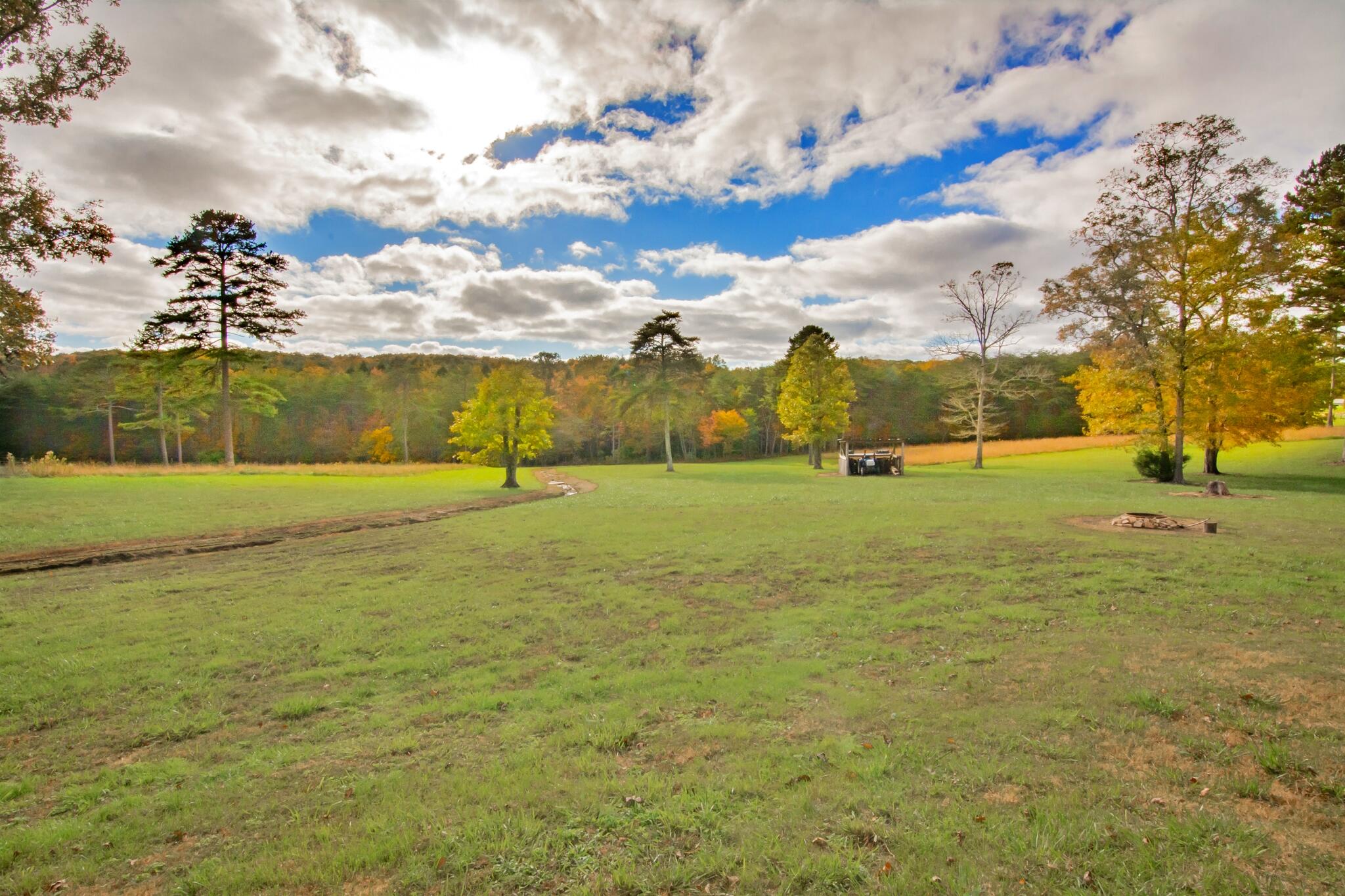 1152 Brier Branch Road Graysville, TN 37338 - Photo 2 of 55 View from patio 2
