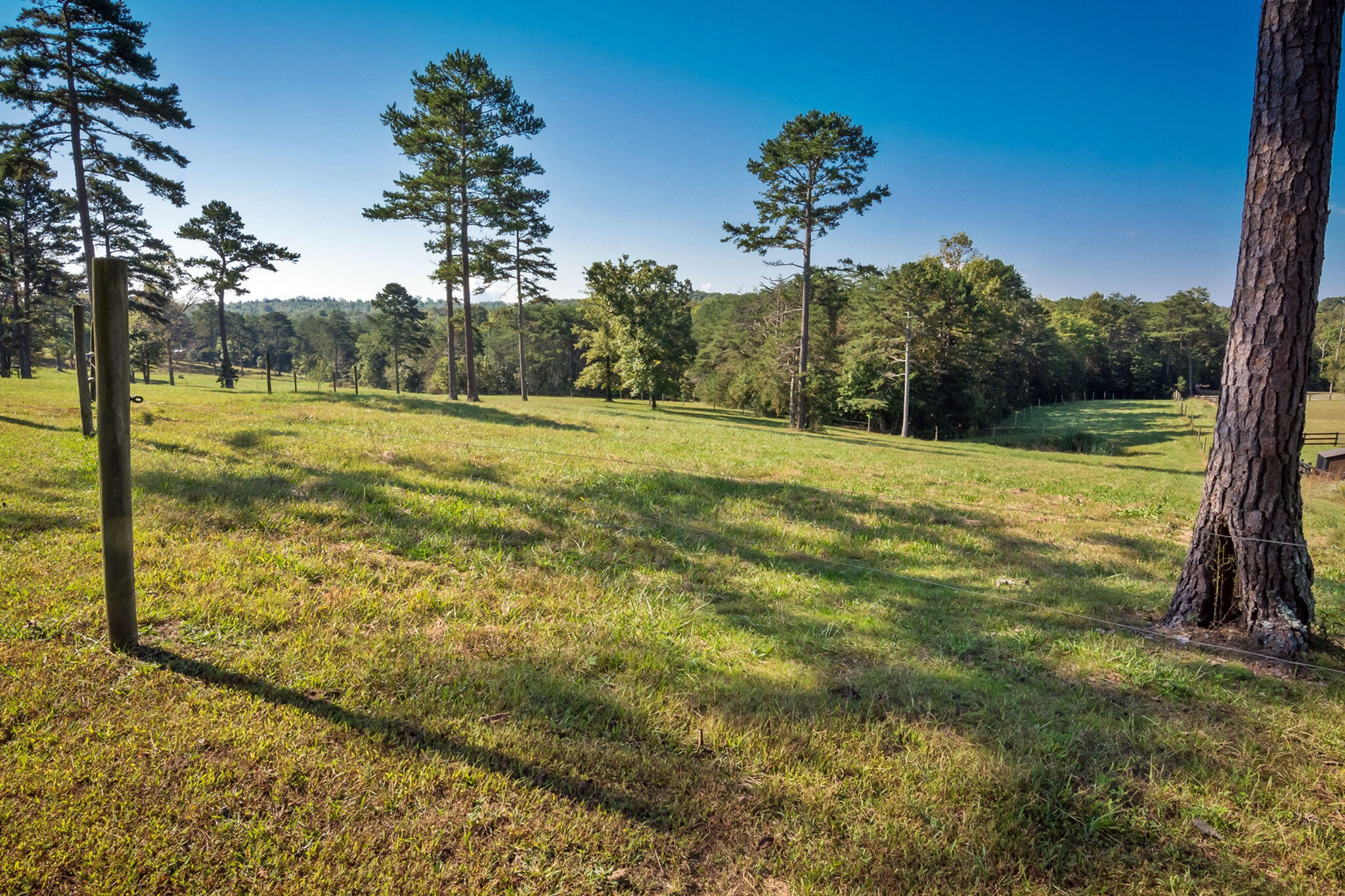 1152 Brier Branch Road Graysville, TN 37338 - Photo 37 of 55 Pasture 1