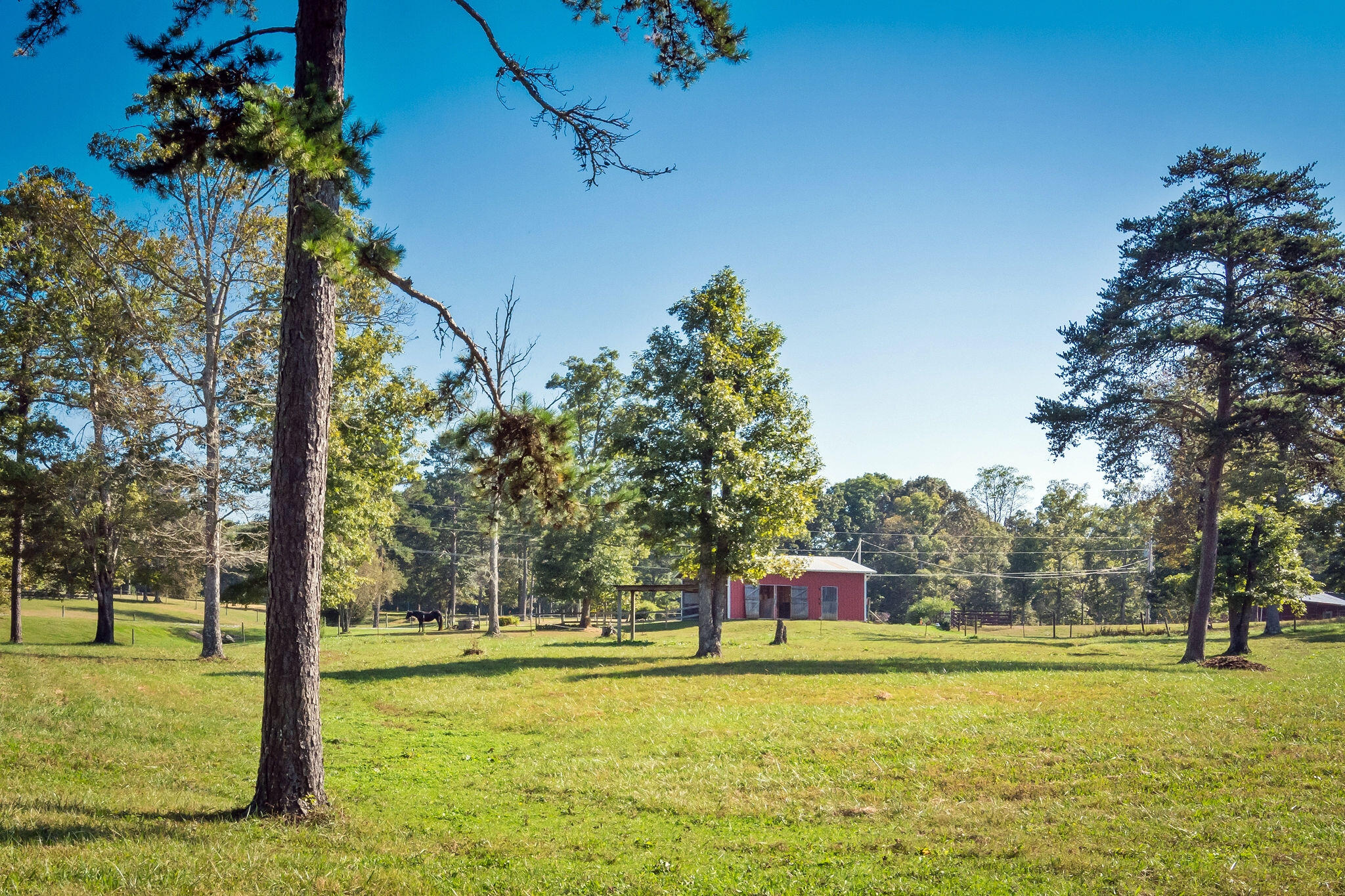 1152 Brier Branch Road Graysville, TN 37338 - Photo 38 of 55 Pasture 6