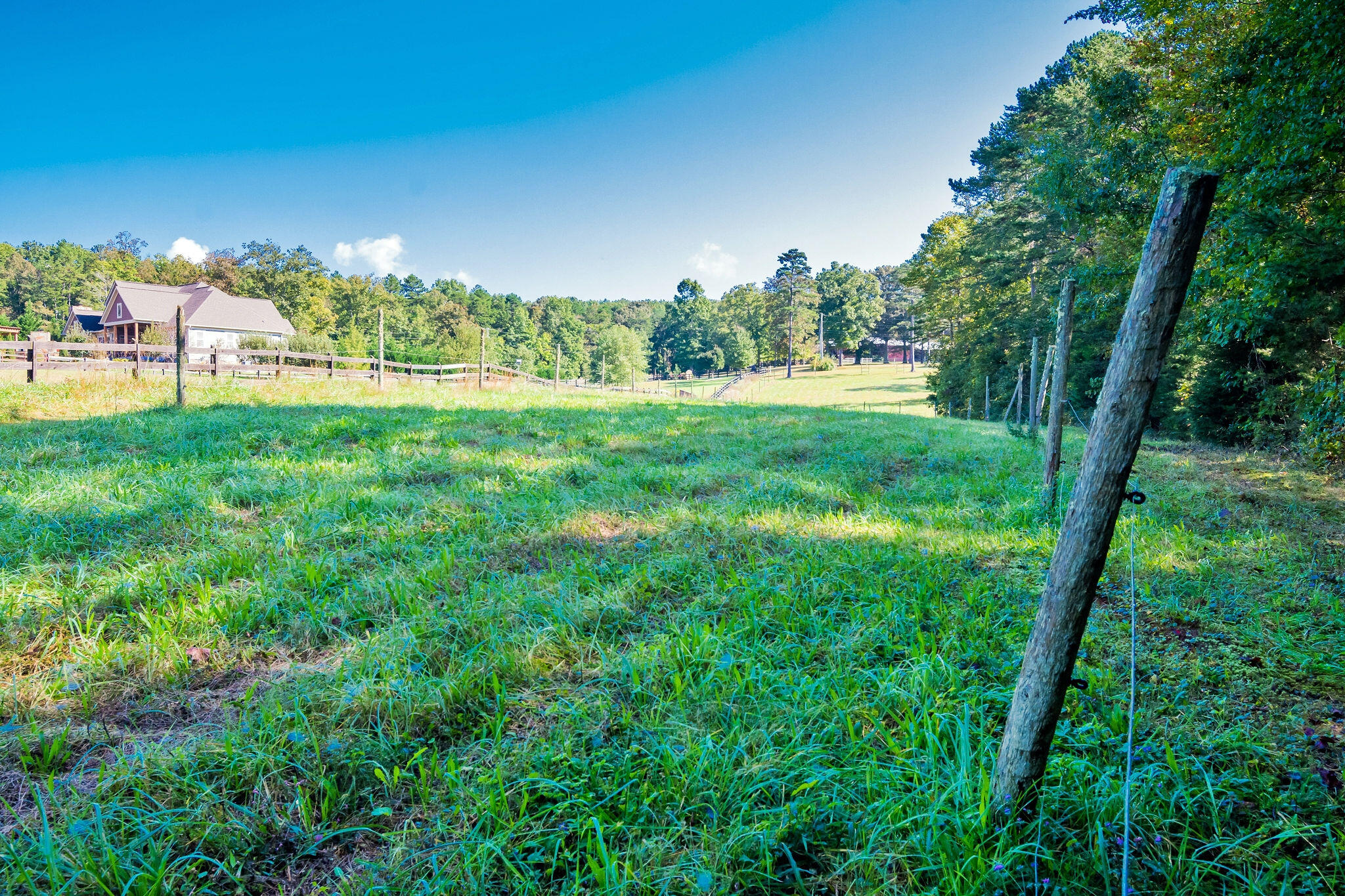 1152 Brier Branch Road Graysville, TN 37338 - Photo 39 of 55 Pasture 7
