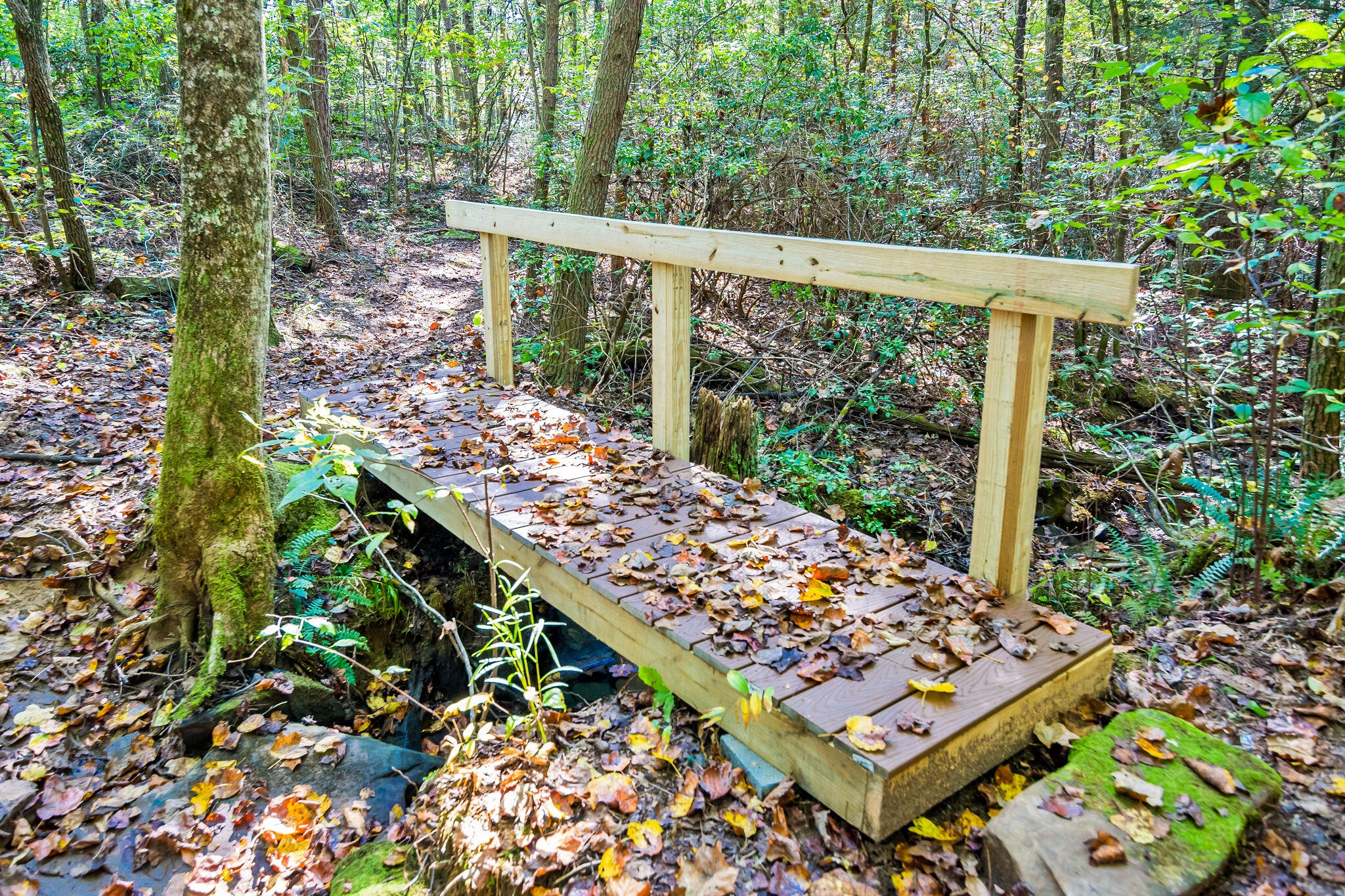 1152 Brier Branch Road Graysville, TN 37338 - Photo 40 of 55 Bridge over creek 2