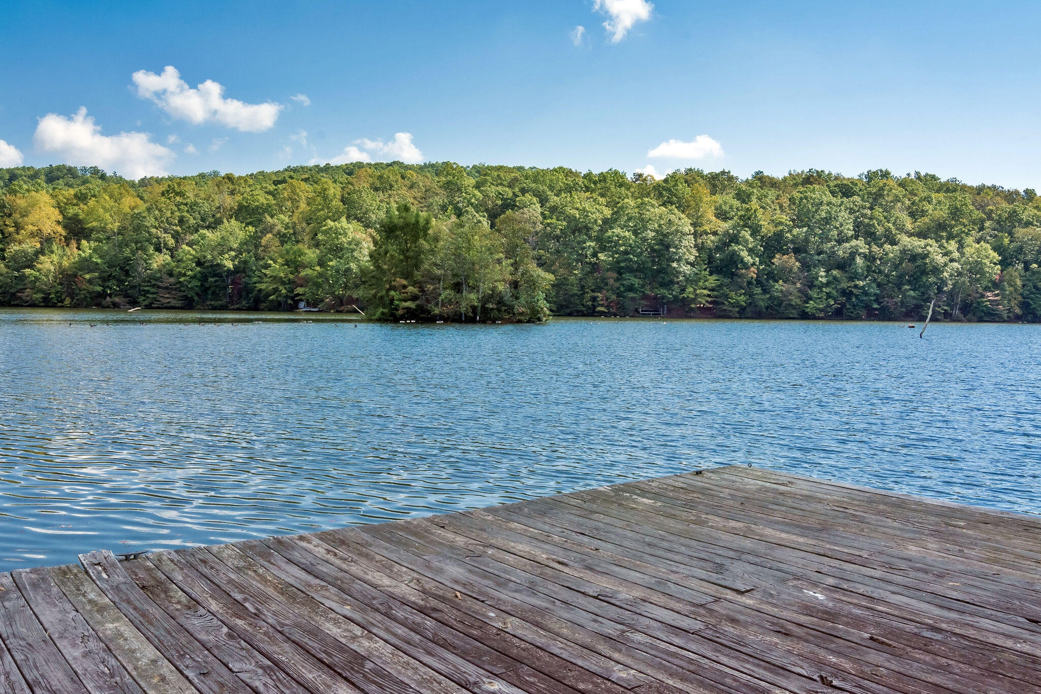 1152 Brier Branch Road Graysville, TN 37338 - Photo 47 of 55 Lake 12