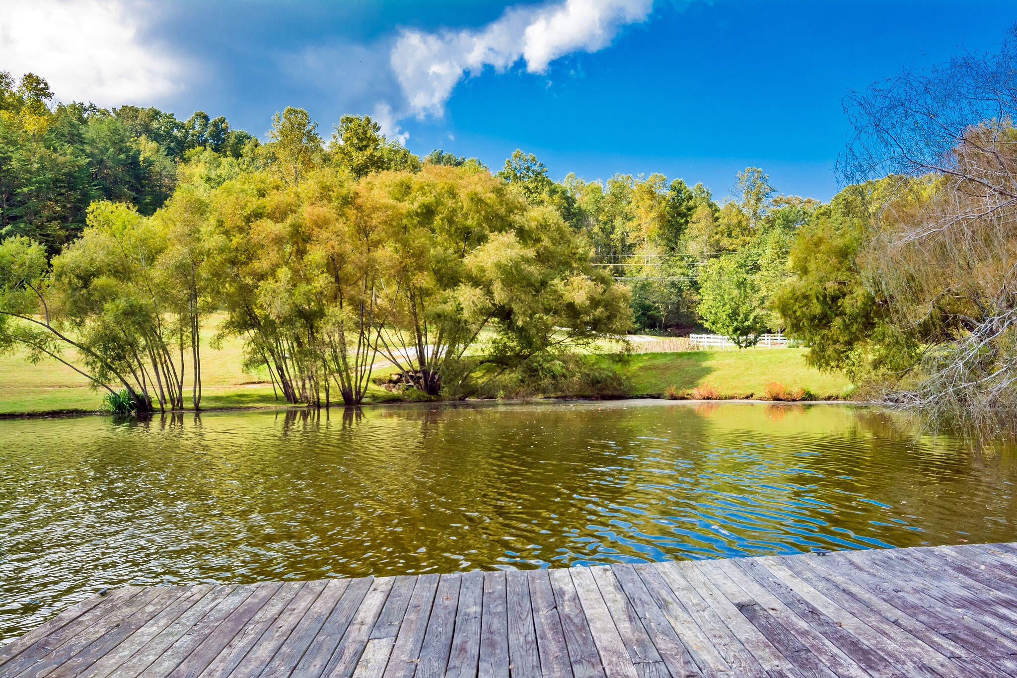 1152 Brier Branch Road Graysville, TN 37338 - Photo 48 of 55 Lake 16