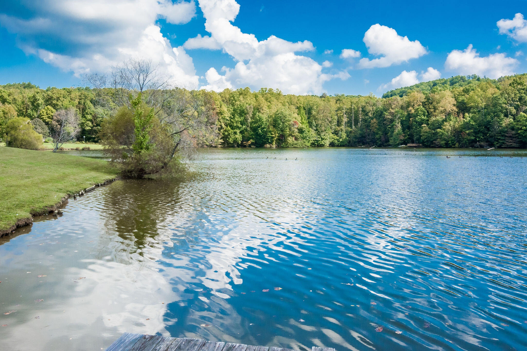 1152 Brier Branch Road Graysville, TN 37338 - Photo 49 of 55 Lake 13
