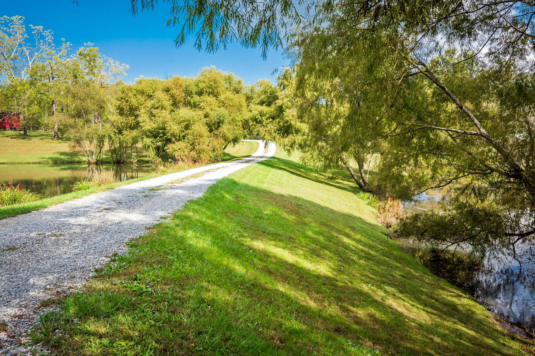 1152 Brier Branch Road Graysville, TN 37338 - Photo 51 of 55 Lake Road