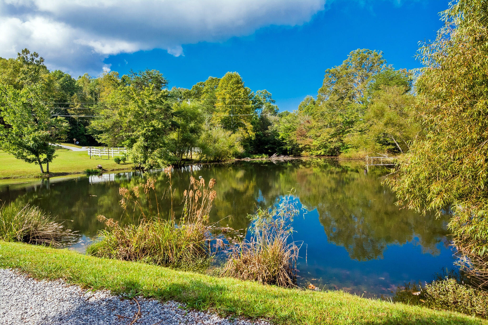 1152 Brier Branch Road Graysville, TN 37338 - Photo 55 of 55 Pond 1