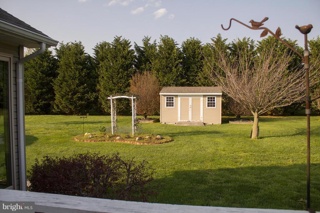 11462 Reed Circle Ridgely, MD 21660 - Photo 14 of 20 Exterior (Rear)