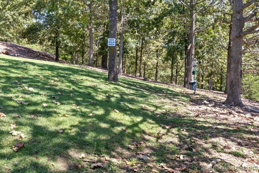 2500 Bay Point Lane, Unit 645 Osage Beach, MO 65065 - Photo 28 of 48 Dog walk area