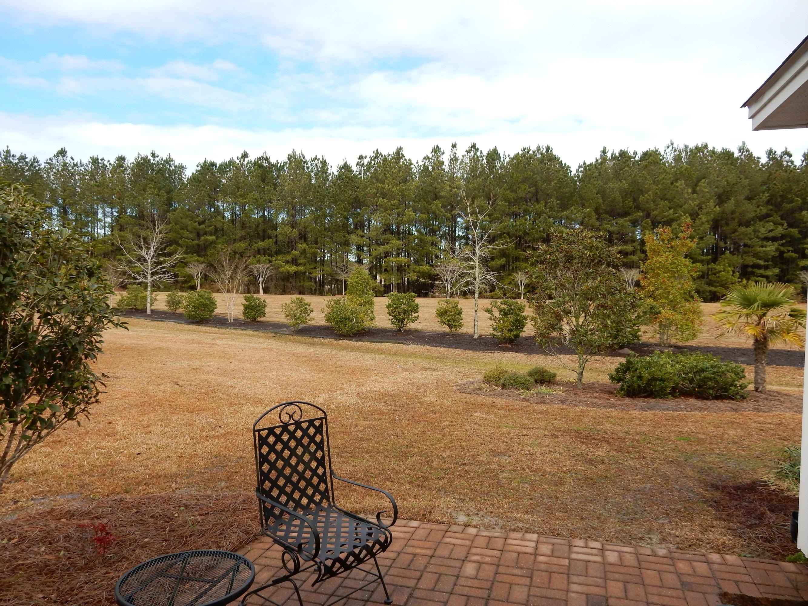 116 Decatur Drive Summerville, SC 29486 - Photo 23 of 24 Back Yard