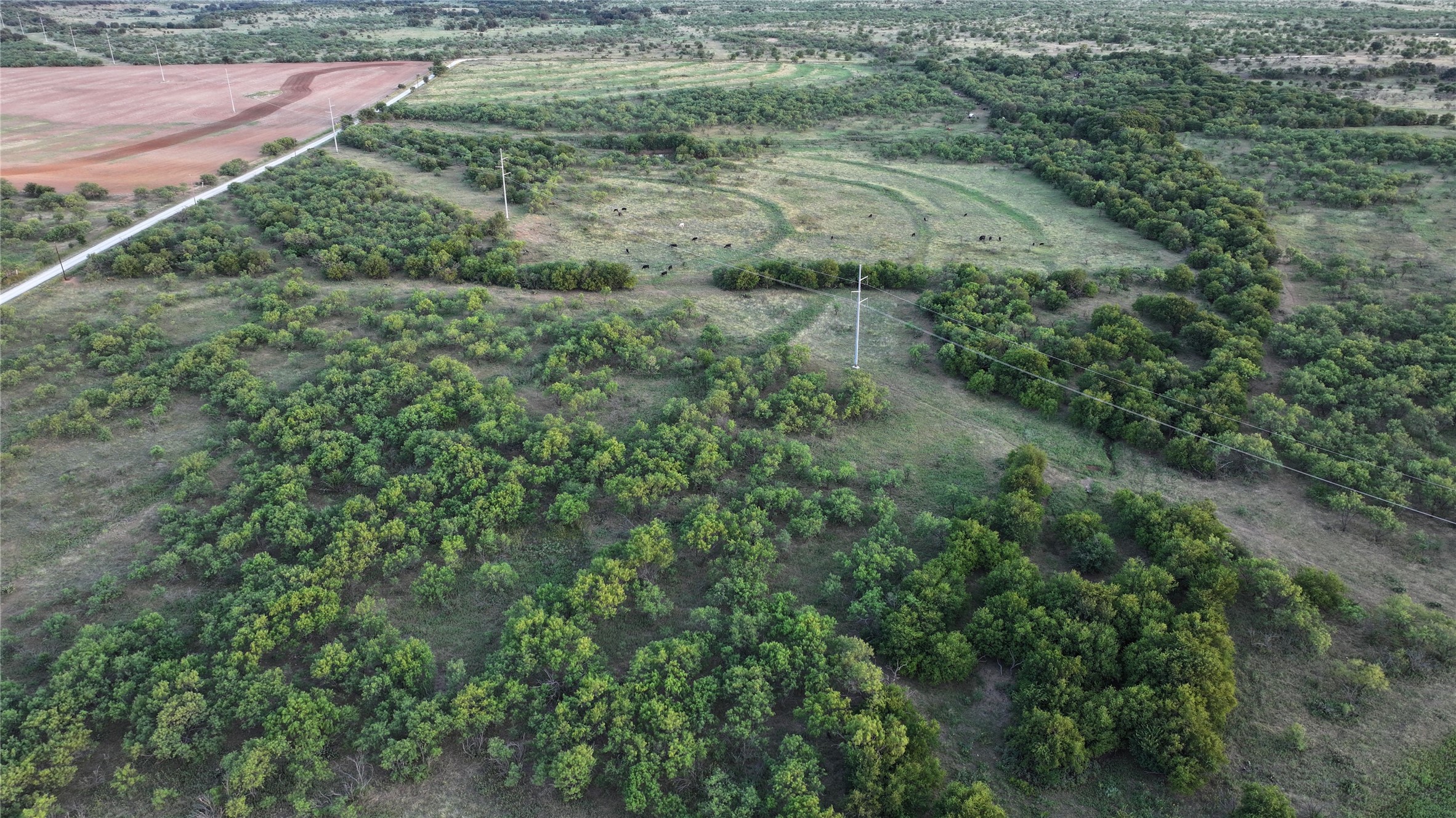 0 Butler Loop Graham, TX 76450 - Photo 5 of 12