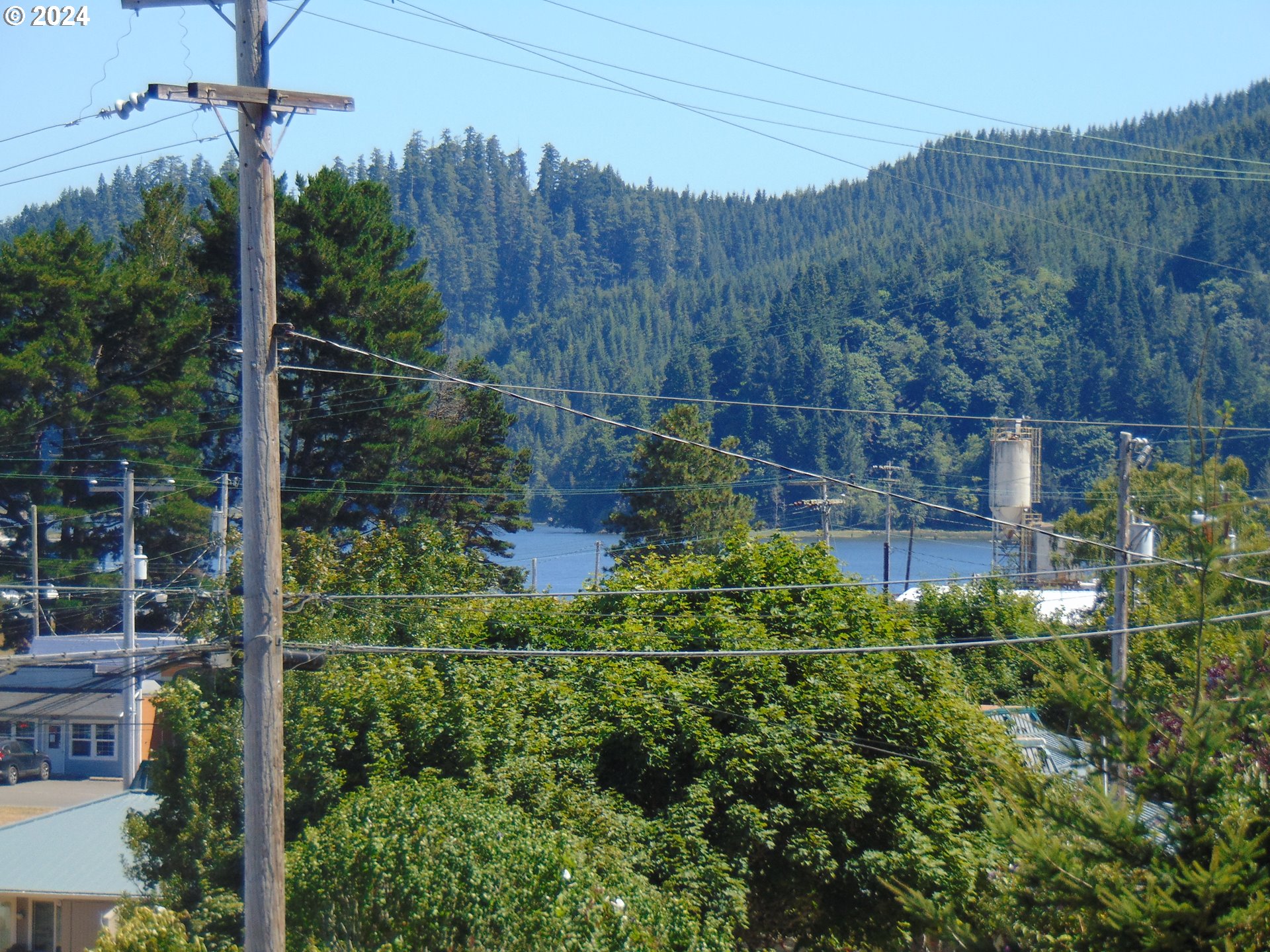 442 Elm Avenue Reedsport, OR 97467 - Photo 3 of 8 a view of a garden