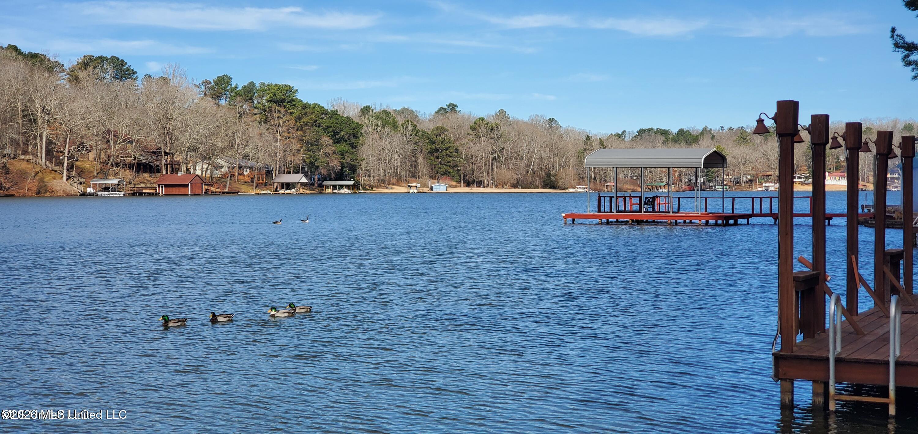 180 Red Oak Road Ashland, MS 38603 - Photo 31 of 33 Lake