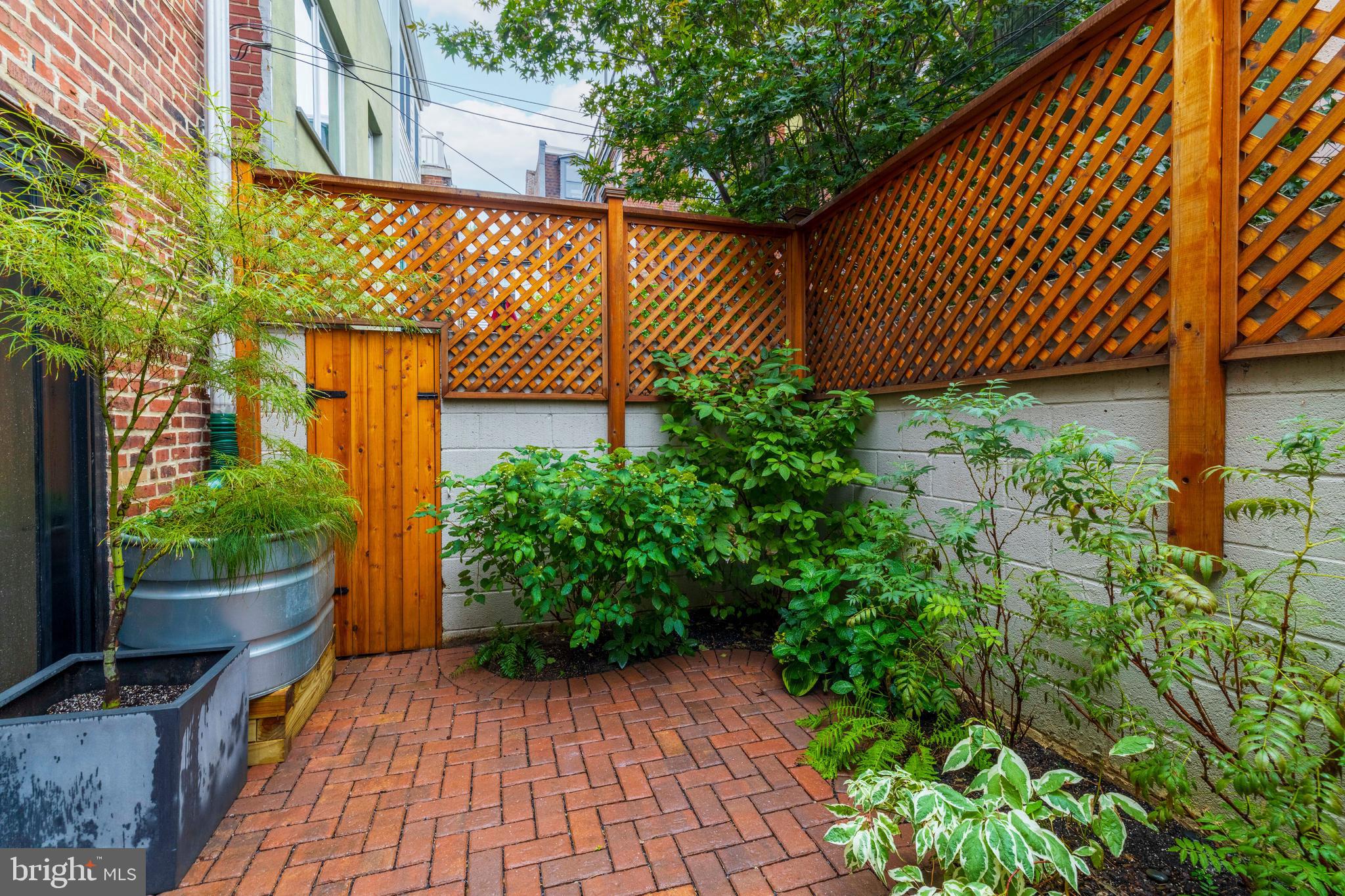 340 South Smedley Street Philadelphia, PA 19103 - Photo 14 of 38 a view of a backyard with plants