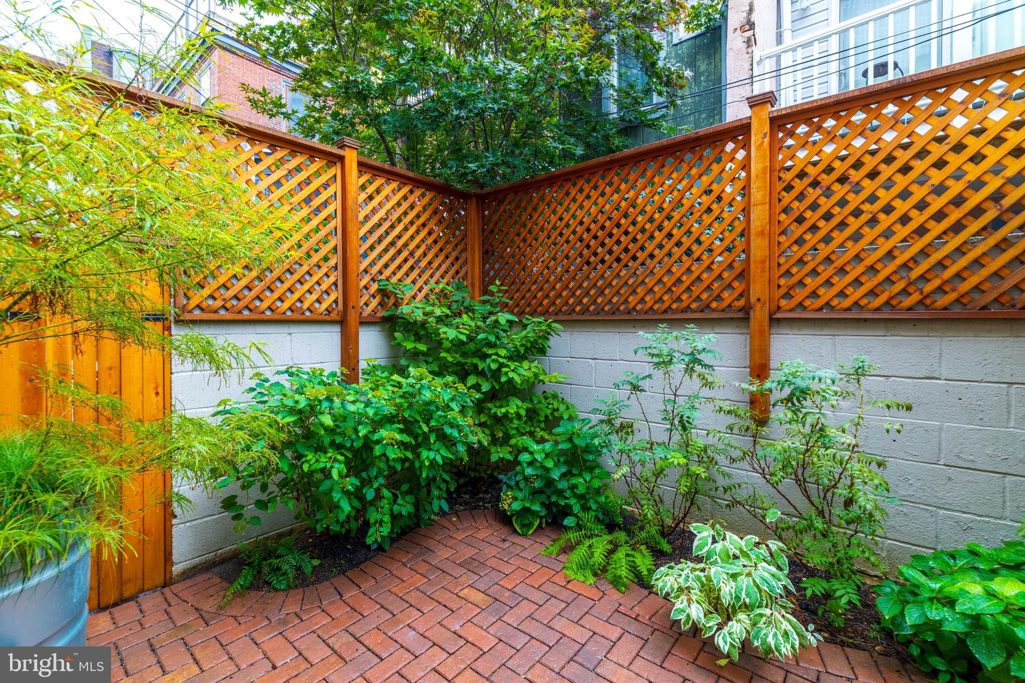 340 South Smedley Street Philadelphia, PA 19103 - Photo 15 of 38 a view of a backyard with plants