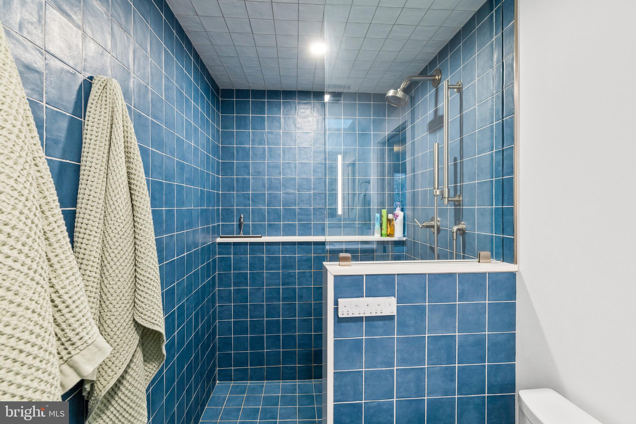 340 South Smedley Street Philadelphia, PA 19103 - Photo 27 of 38 a bathroom with a shower