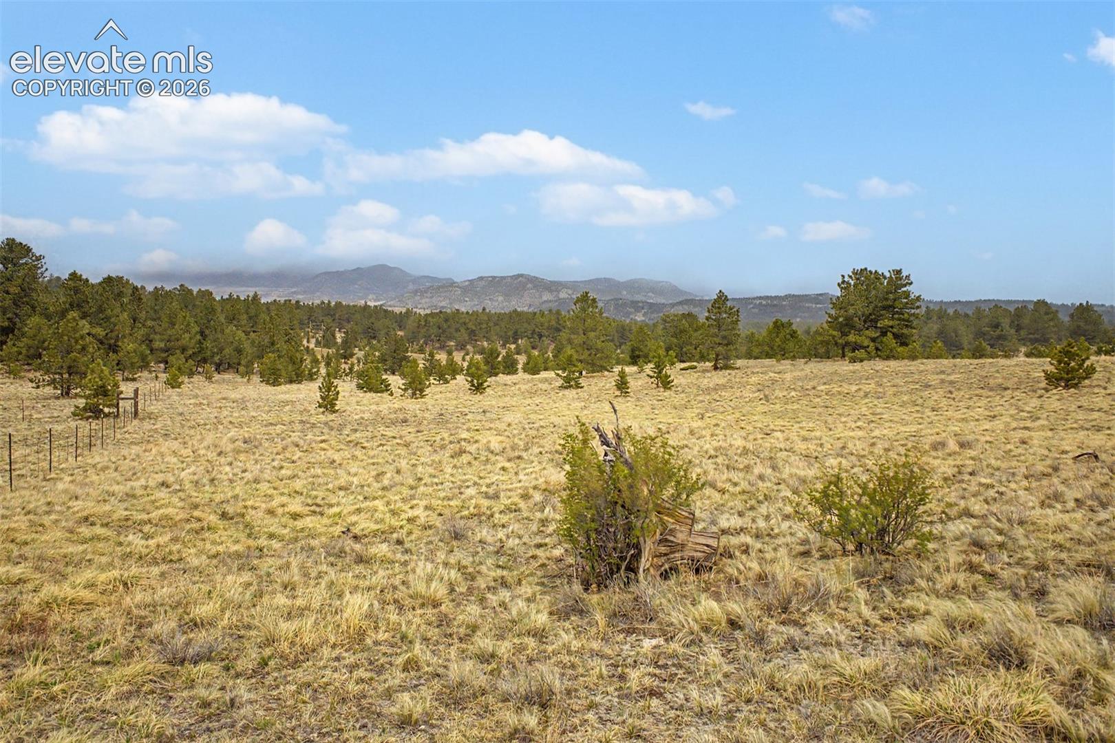 Ranger Station Road Florissant, CO 80816 - Photo 14 of 36 Gallery Image 14