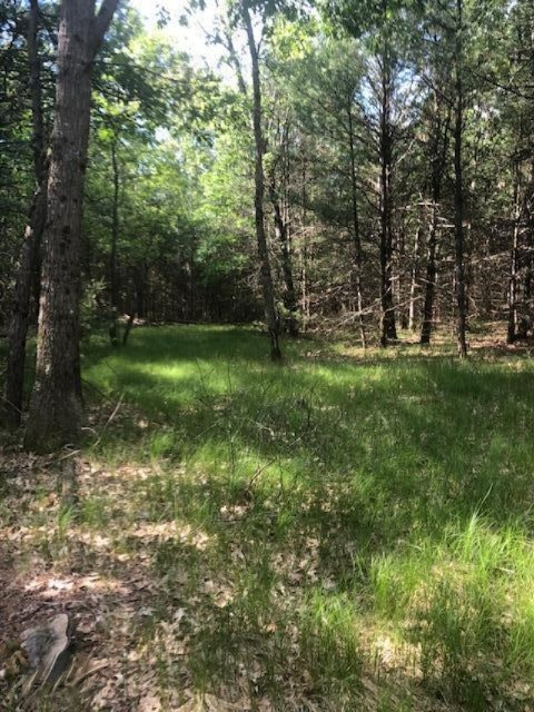 0 Dalson Road Holton, MI 49425 - Photo 1 of 24 IMG_5545