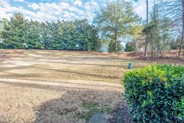 a view of a yard with large trees