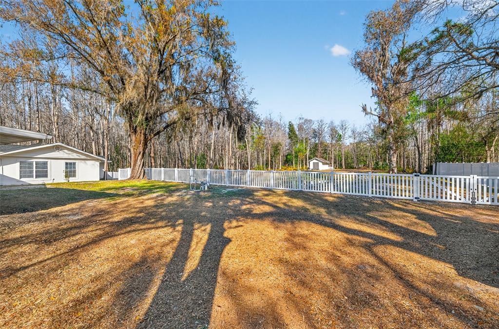 1120 Country Lane Lutz, FL 33558 - Photo 49 of 52 a view of yard and trees