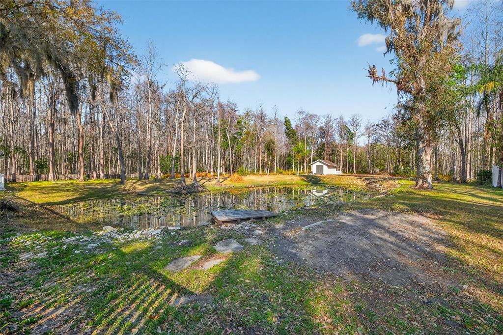 1120 Country Lane Lutz, FL 33558 - Photo 5 of 52 a view of a park with large trees