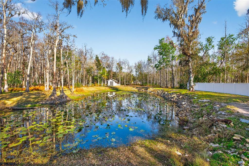 1120 Country Lane Lutz, FL 33558 - Photo 8 of 52 a view of yard with large tree