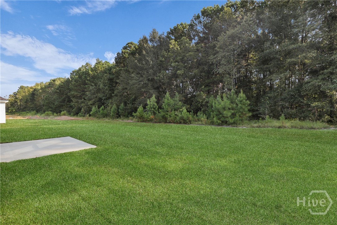 18 Grove Hollow Road Cobbtown, GA 30420 - Photo 27 of 33 The Waverly Plan by Lawrence Alexander Homes!