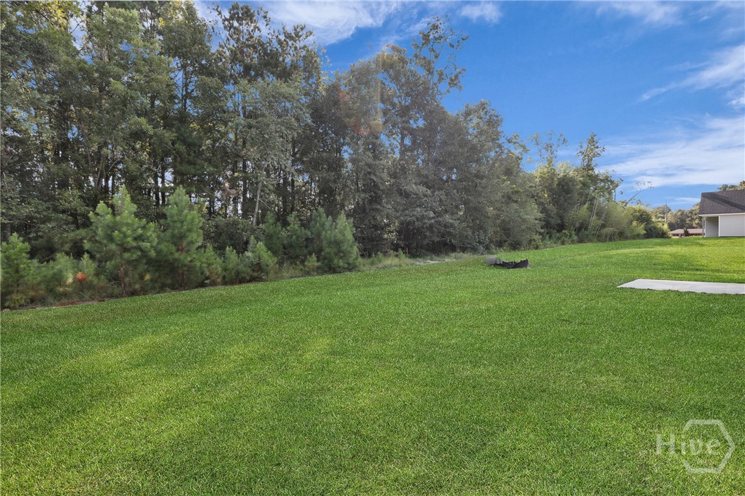 18 Grove Hollow Road Cobbtown, GA 30420 - Photo 28 of 33 The Waverly Plan by Lawrence Alexander Homes!