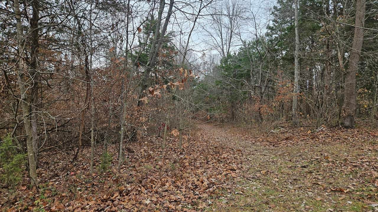 804 Bill Pedigo Road Edmonton, KY 42129 - Photo 22 of 29 Gallery Image 22