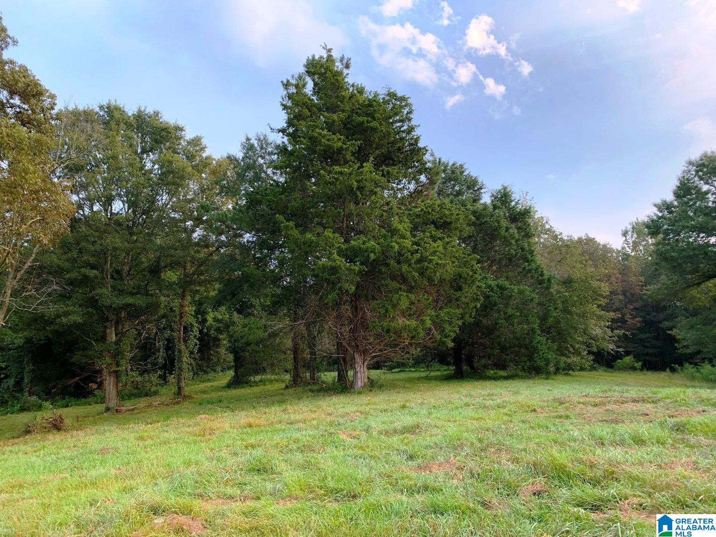 78 St E Acres Al, Unit 101 Anniston, AL 36207 - Photo 6 of 17