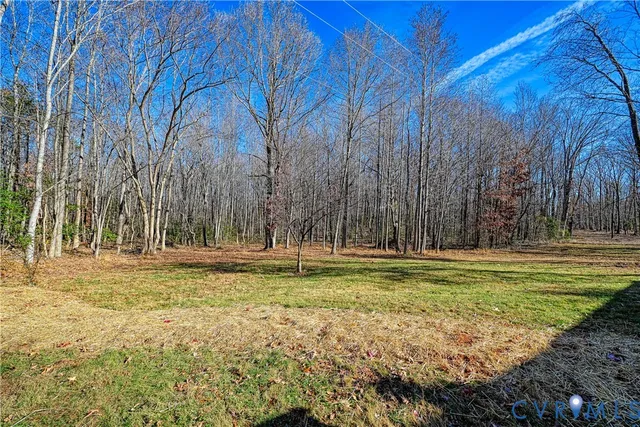 a view of a park with large trees
