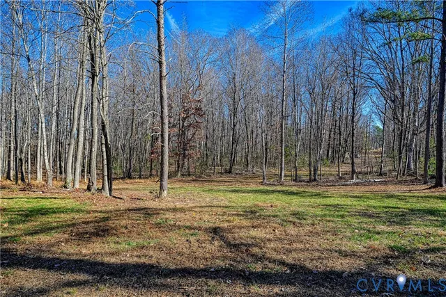 a yard with trees in the background