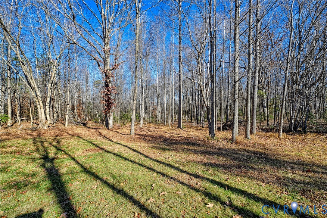 589 Three Chopt Road Kents Store, VA 23084 - Photo 9 of 48