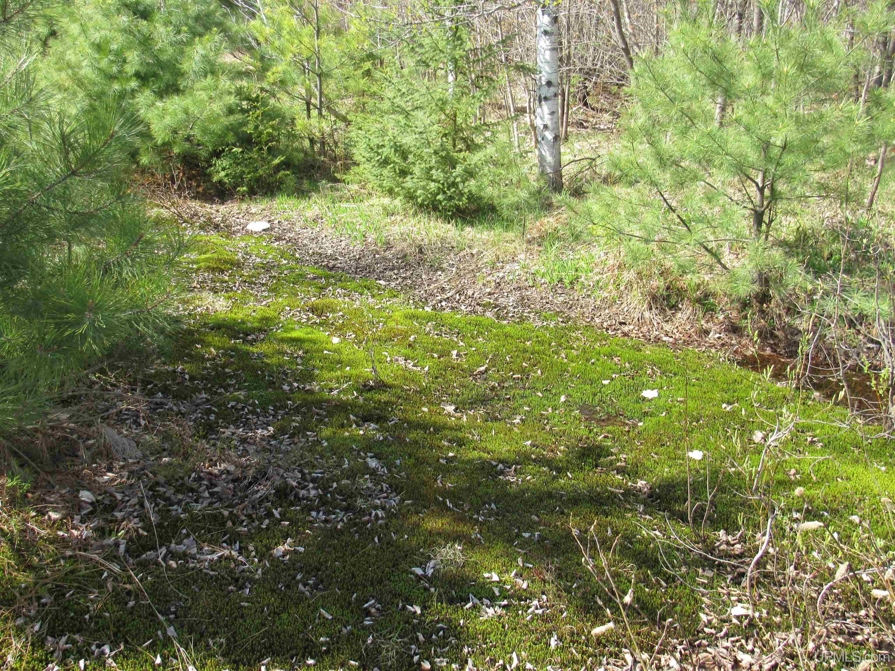 Tbd Off Rice Lake Road, Unit NO DRIVE BYS Lake Linden, MI 49945 - Photo 33 of 40