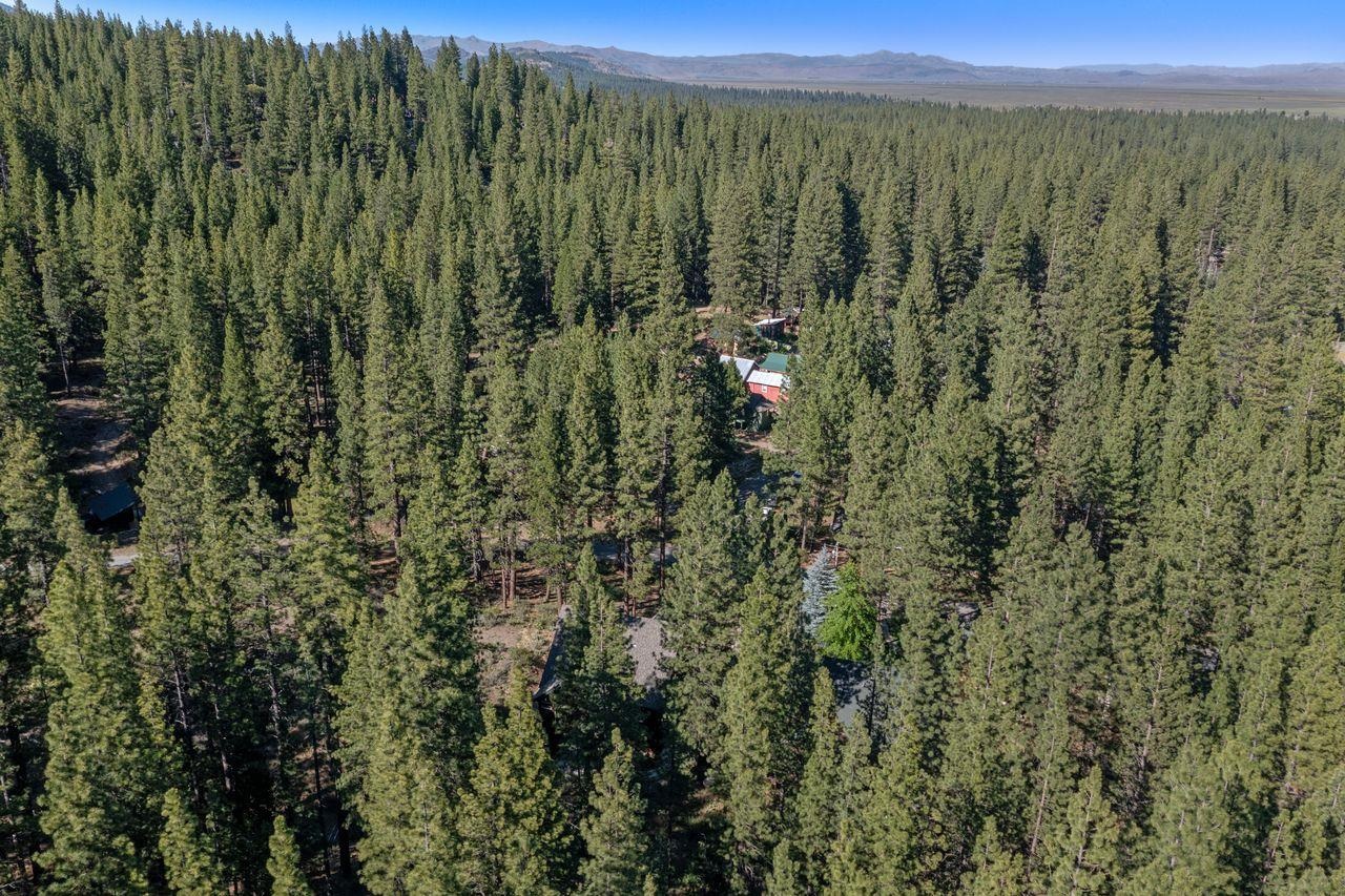 305 Mt View Road Calpine, CA 96124 - Photo 41 of 50